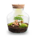 DIY terrarium – Little Joe met licht – ↕ 21,5 cm – Normal