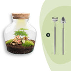 DIY terrarium – Little Joe met licht – ↕ 21,5 cm – Rake + Shovel