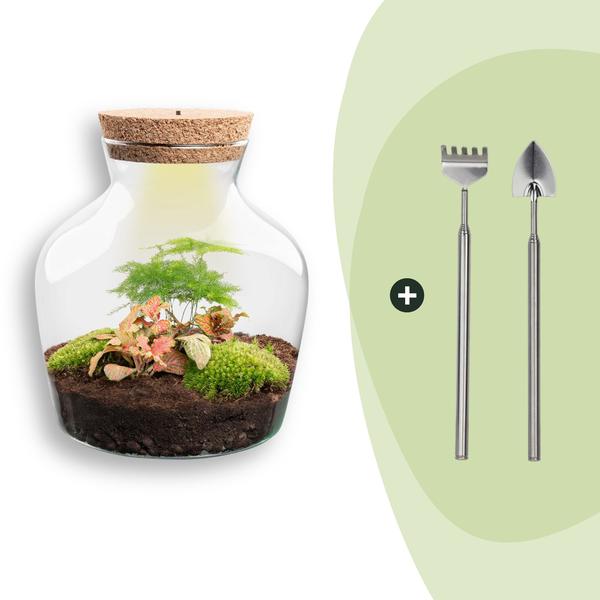 DIY terrarium – Little Joe met licht – ↕ 21,5 cm – Rake + Shovel