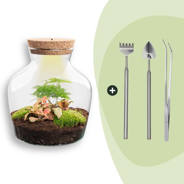 DIY terrarium – Little Joe met licht – ↕ 21,5 cm – Rake + Shovel + Tweezer