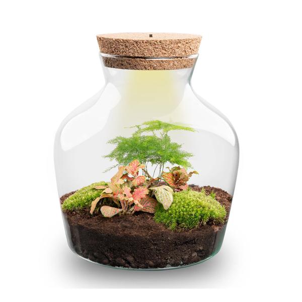 DIY terrarium – Little Joe met licht – ↕ 21,5 cm – Rake + Shovel + Tweezer
