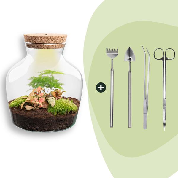 DIY terrarium – Little Joe met licht – ↕ 21,5 cm – Rake + Shovel + Tweezer + Scissors