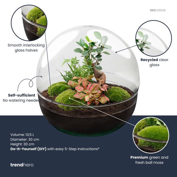 DIY Planten terrarium tweedelig bolglas – Dome XL Bonsai – Ø 28 cm ↑ 28 cm – No tools