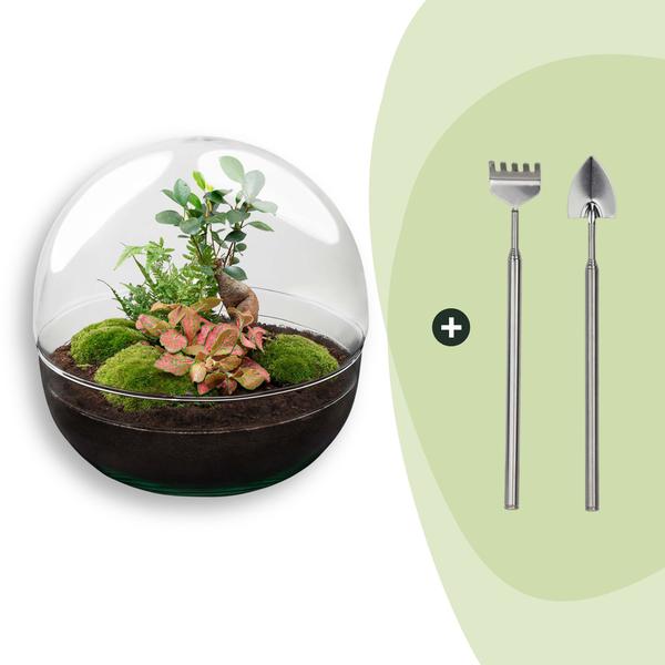 DIY Planten terrarium tweedelig bolglas – Dome XL Bonsai – Ø 28 cm ↑ 28 cm – Rake + Shovel