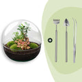 DIY Planten terrarium tweedelig bolglas – Dome XL Bonsai – Ø 28 cm ↑ 28 cm – Rake + Shovel + Tweezer