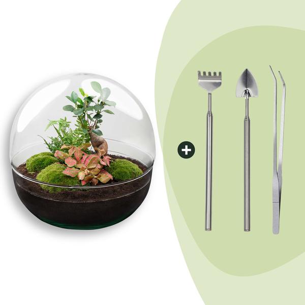 DIY Planten terrarium tweedelig bolglas – Dome XL Bonsai – Ø 28 cm ↑ 28 cm – Rake + Shovel + Tweezer