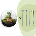 DIY Planten terrarium tweedelig bolglas – Dome XL Bonsai – Ø 28 cm ↑ 28 cm – Rake + Shovel + Tweezer + Scissors