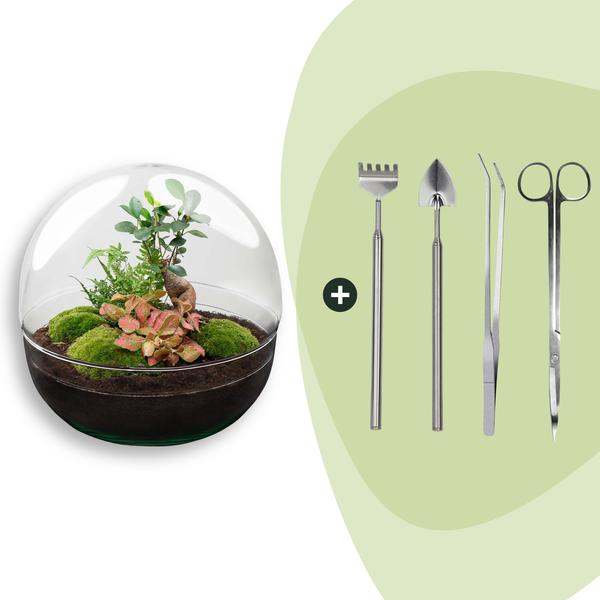 DIY Planten terrarium tweedelig bolglas – Dome XL Bonsai – Ø 28 cm ↑ 28 cm – Rake + Shovel + Tweezer + Scissors