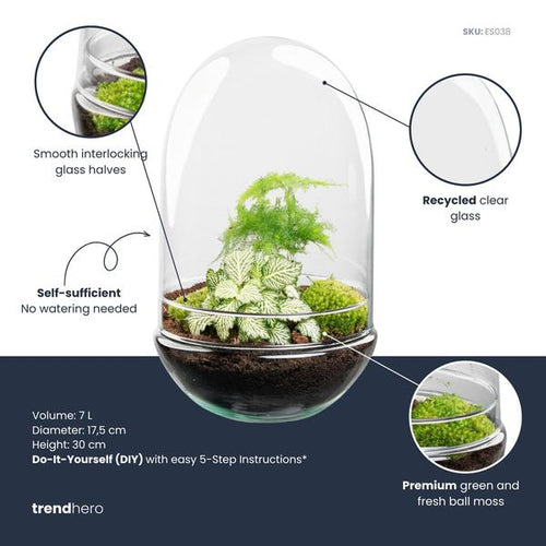 DIY Planten terrarium tweedelig bolglas – Egg XL – Ø 17,5 cm ↑ 30 cm