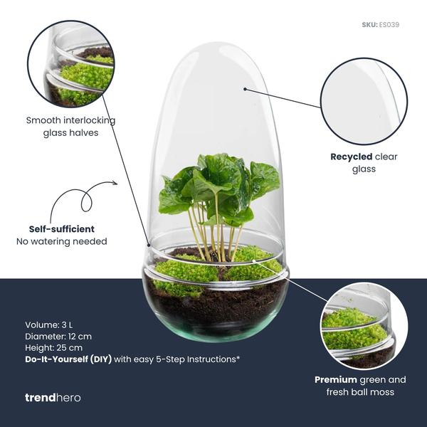 DIY Planten terrarium tweedelig bolglas – Egg Coffea – Ø 12 cm ↑ 25 cm