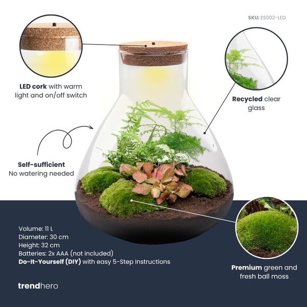 DIY Planten terrarium met licht – Sam XL Red – Ø 30 cm ↑ 32 cm – No tools