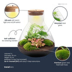 DIY Planten terrarium met licht – Sam XL Red – Ø 30 cm ↑ 32 cm – No tools