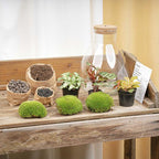 DIY Planten terrarium met licht – Sam XL Red – Ø 30 cm ↑ 32 cm – No tools