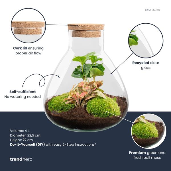 DIY terrarium – Sammie Coffea Red – Ø 22,5 cm ↑ 27 cm – Rake + Shovel + Tweezer