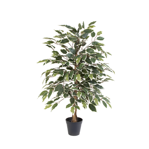 Kunst Ficus Benjamina Variegata – 85 cm | Bonte Kunstplant