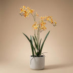 Renanthera Orchidee Geel & Oranje in pot – 56 cm – Kunstplant