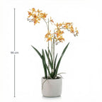 Renanthera Orchidee Geel & Oranje in pot – 56 cm – Kunstplant