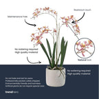 Renanthera Orchidee Roze in pot – 56 cm – Kunstplant