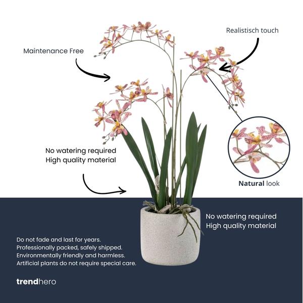 Renanthera Orchidee Roze in pot – 56 cm – Kunstplant