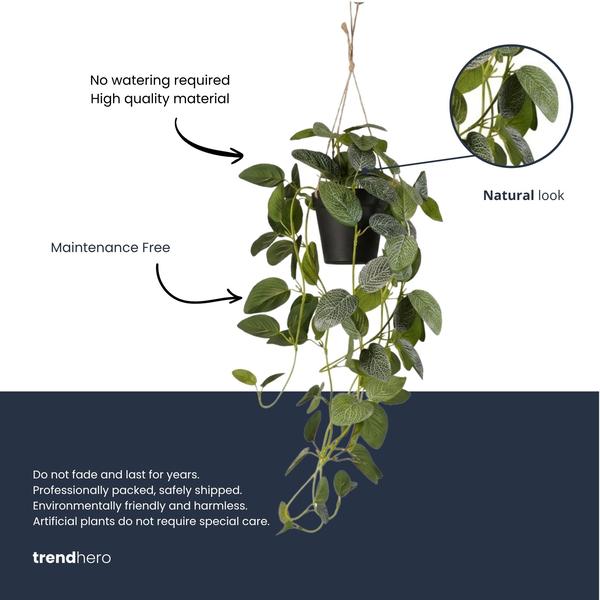 Fittonia – hangplant in pot – 70 cm – Kunstplant