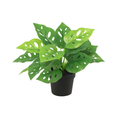 Kunst Monstera Monkey Leaf – 22 cm | Kunstplant