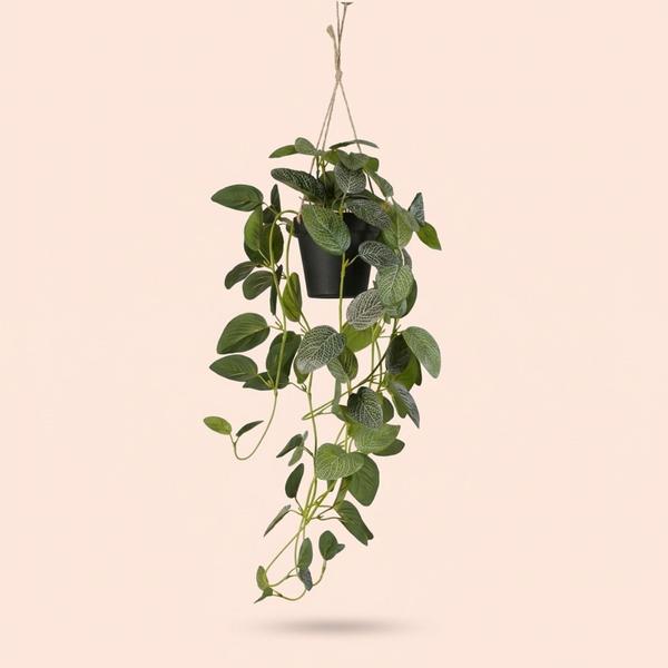 Fittonia – hangplant in pot – 70 cm – Kunstplant