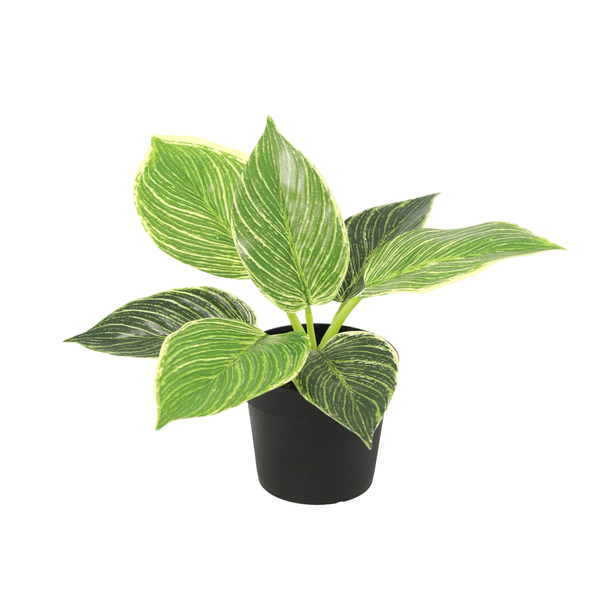 Kunst Philodendron Birkin – 20 cm | Kunstplant