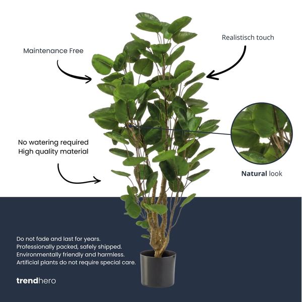Polyscias boom – 105 cm – Kunstplant