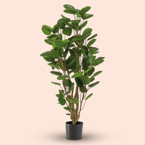 Polyscias boom – 105 cm – Kunstplant